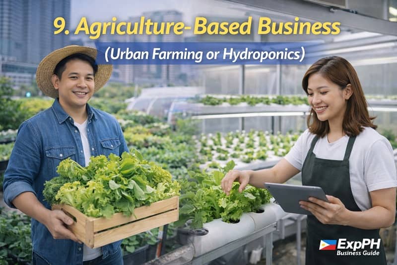 Filipino urban farmers growing vegetables using hydroponics system in a modern agriculture business setup